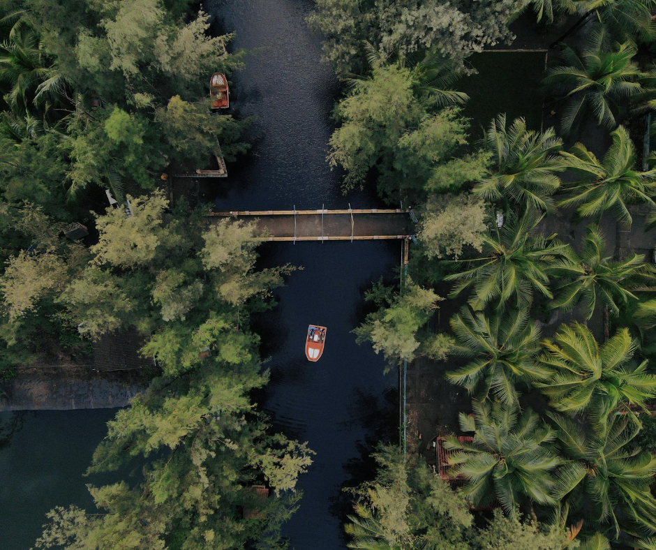 Kerala Tour Packages